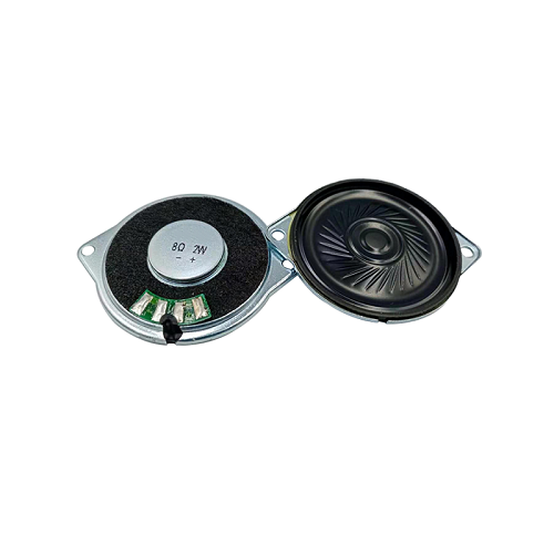 hydz φ40 with Fixing Hole Magnet Speaker 