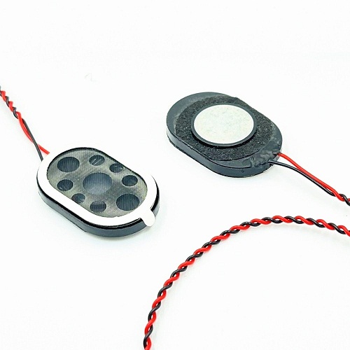hydz 20*40mm Full Range Small Speaker