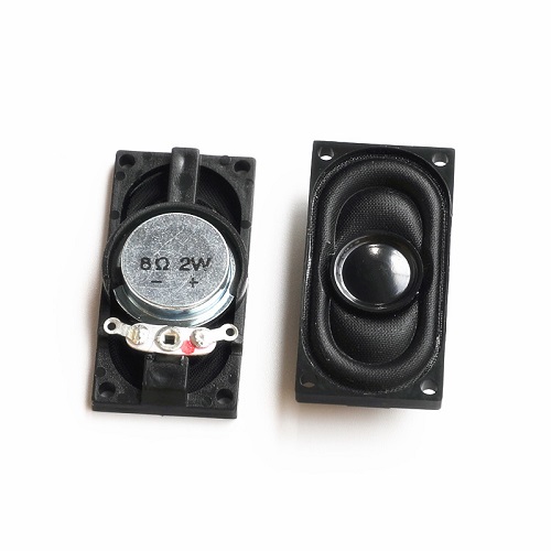 hydz 20*40 internal magnetic speaker